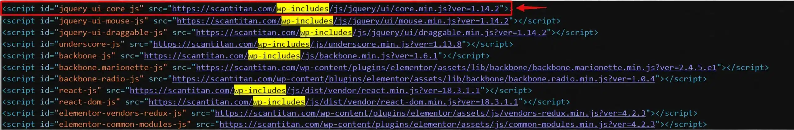 Inspect asset version query strings